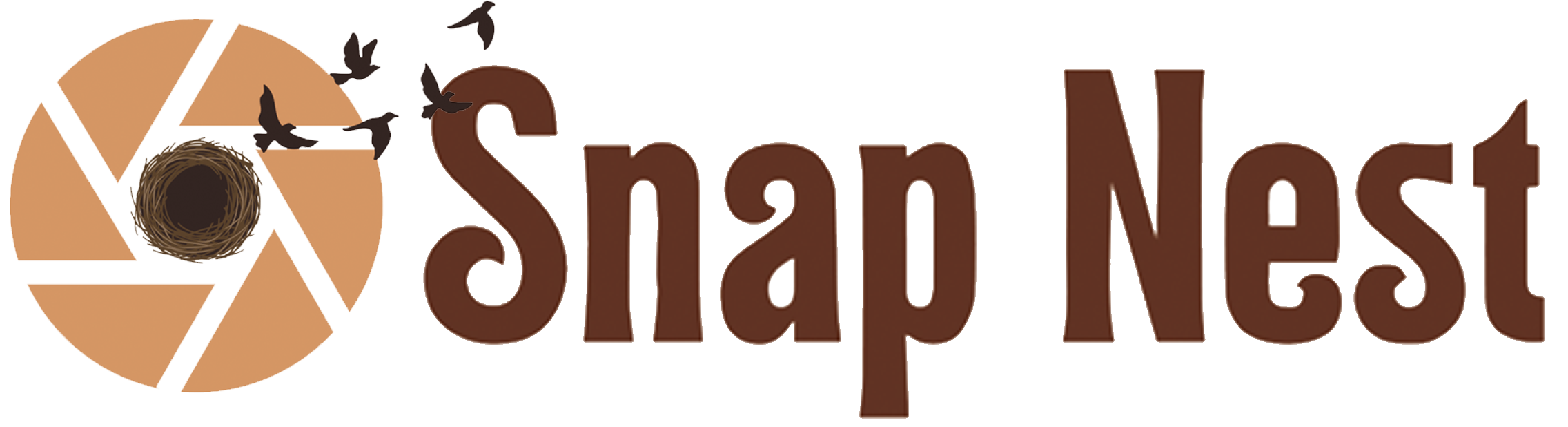Footer Logo