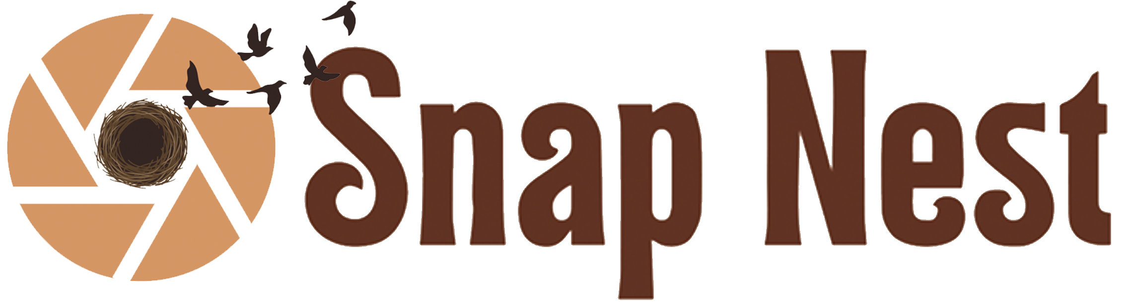 Snapnest Logo